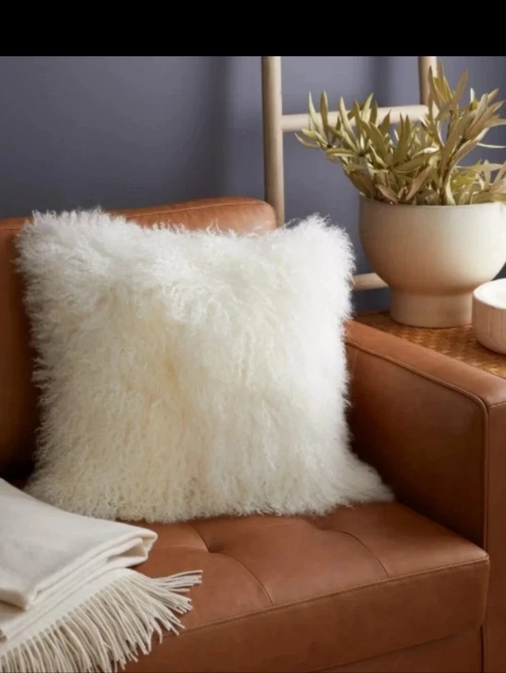 NWOT Quince Luxe Mongolian Lamb Pillow Cover 20